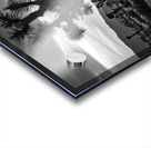 Joshua Trees | Black and White Desert Photo Acrylic print