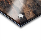 Factory Butte Utah | Erosion and Texture in Desert Landscape Acrylic print