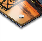 San Francisco Treasure Acrylic print