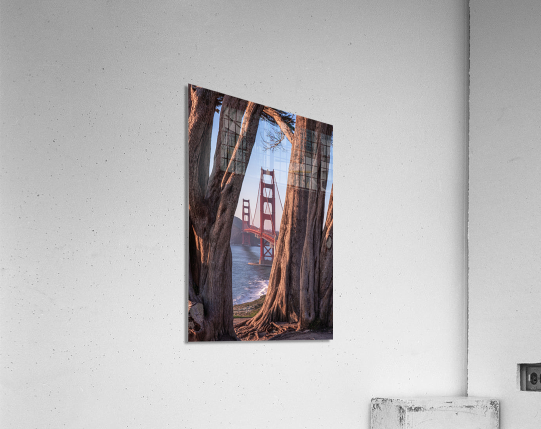 Golden Frame San Francisco  Acrylic Print 