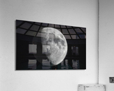 The Moon  Acrylic Print