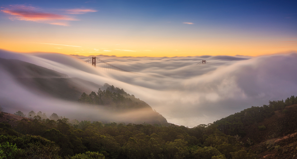 Bay Area San Francisco Print