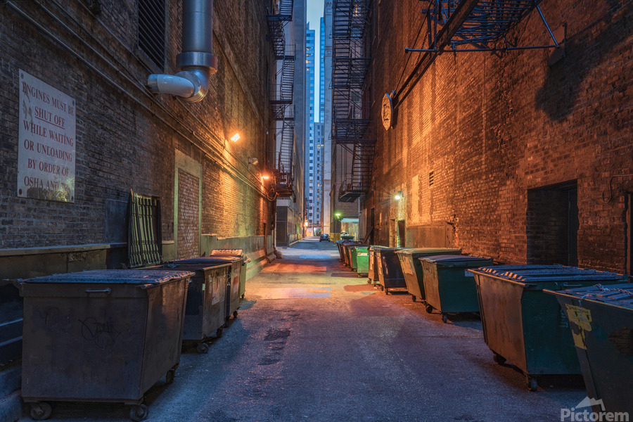 Chicago Back Alley  Print