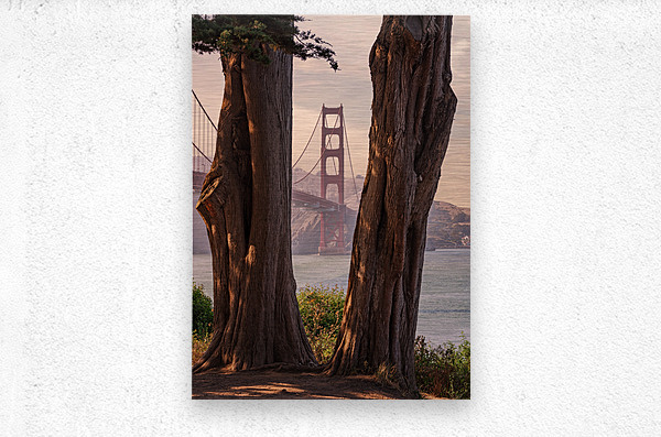 Golden Gate View  Metal print