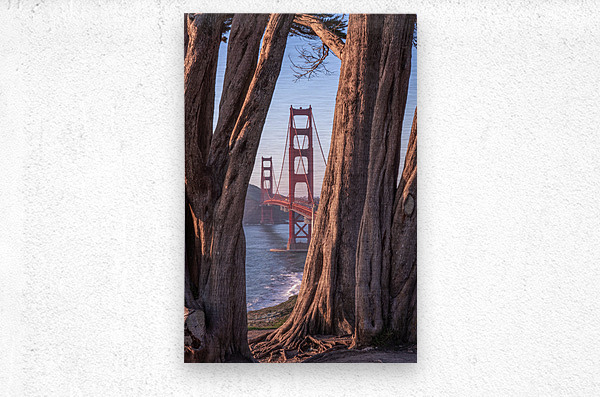 Golden Frame San Francisco  Metal print