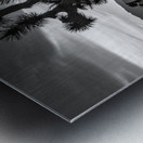 Joshua Trees | Black and White Desert Photo Metal print