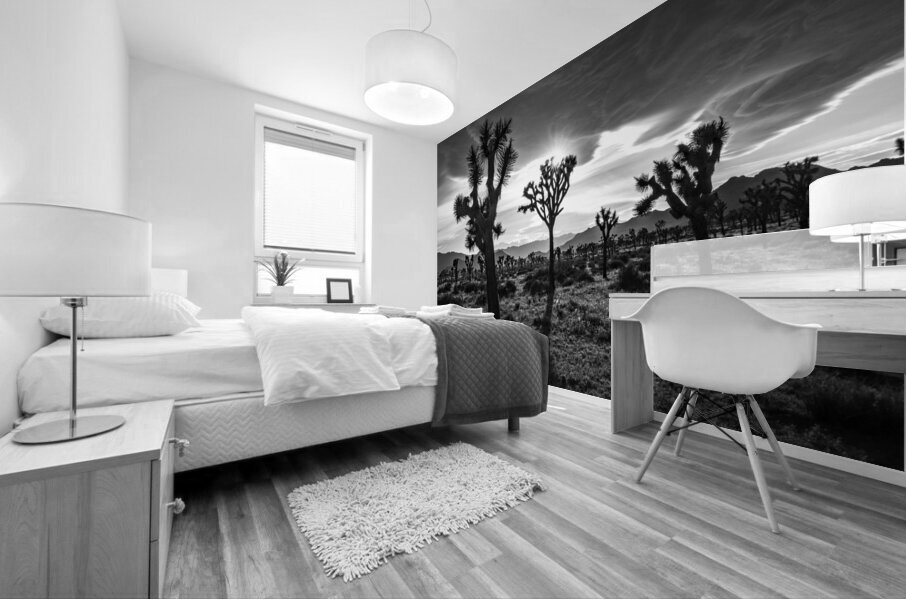 Joshua Trees | Black and White Desert Photo Mural print