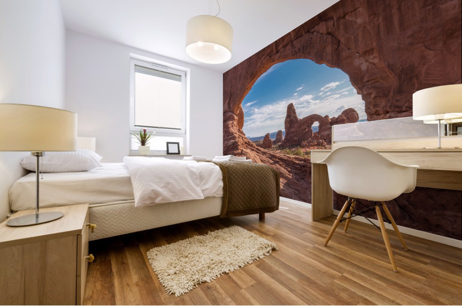 Arches National Park Mural print