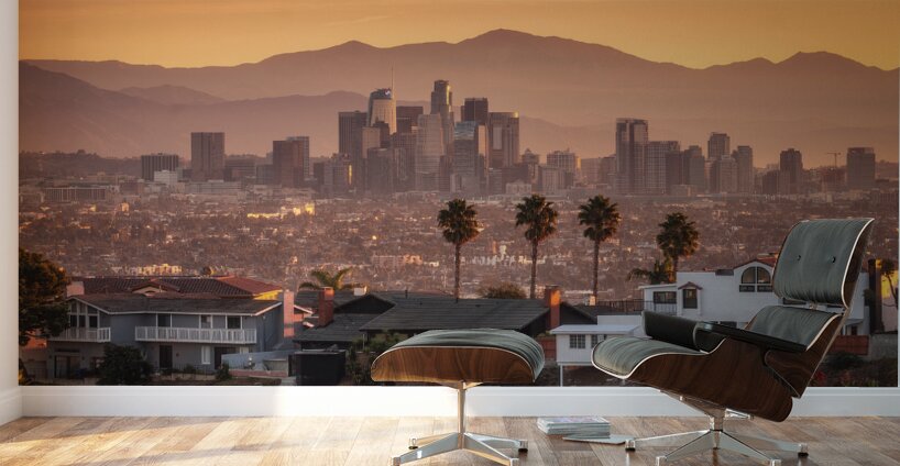 Downtown Los Angeles Morning Light Wall Murals
