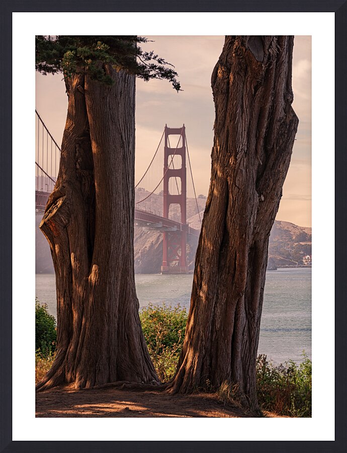 Golden Gate View  Framed Print Print