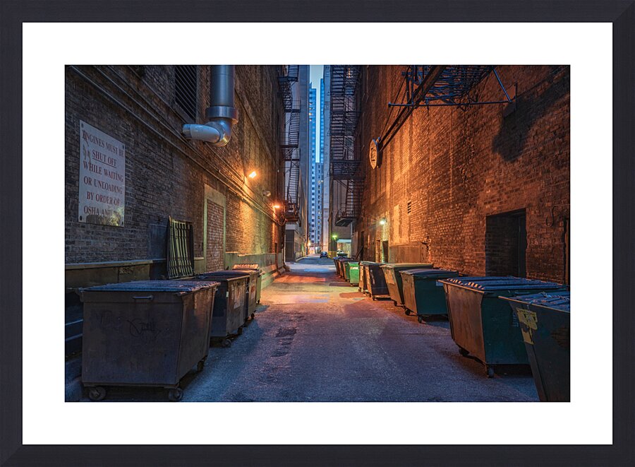 Chicago Back Alley Frame print