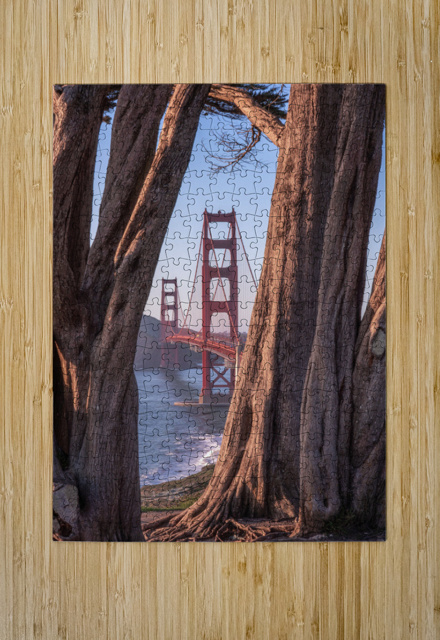 Golden Frame San Francisco Dutch Photographer Puzzle printing