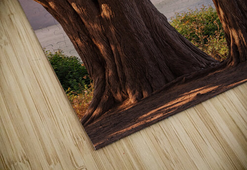 Golden Gate View Dutch Photographer puzzle