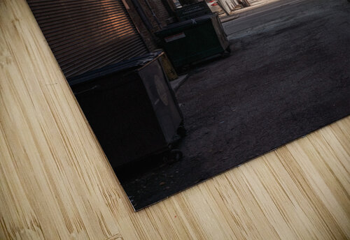 Urban Chicago Dutch Photographer puzzle