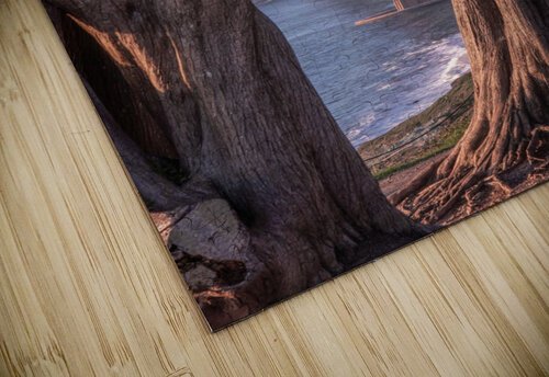 Golden Gate Bridge | Framed by Trees Dutch Photographer puzzle