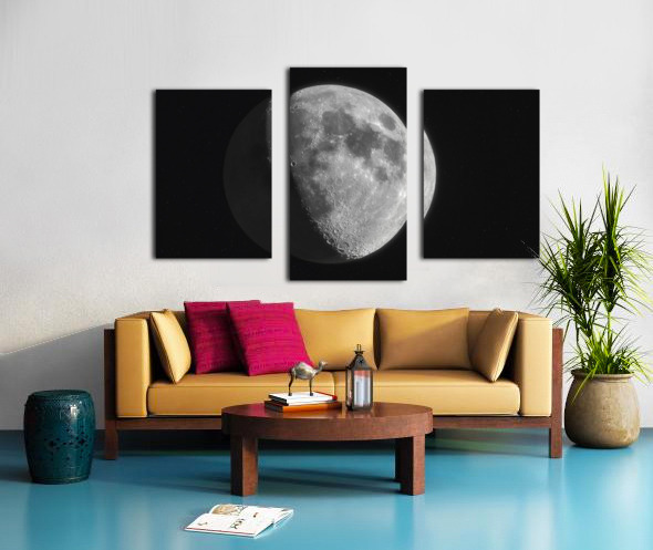 The Moon Canvas print