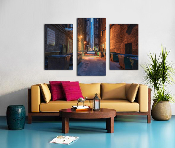 Chicago Back Alley Canvas print