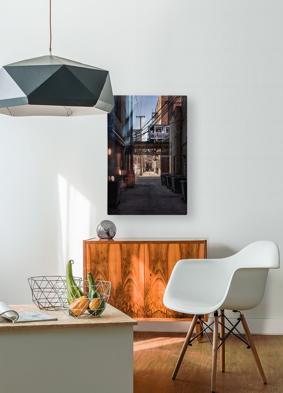 Urban Chicago  HD Metal print with Floating Frame on Back