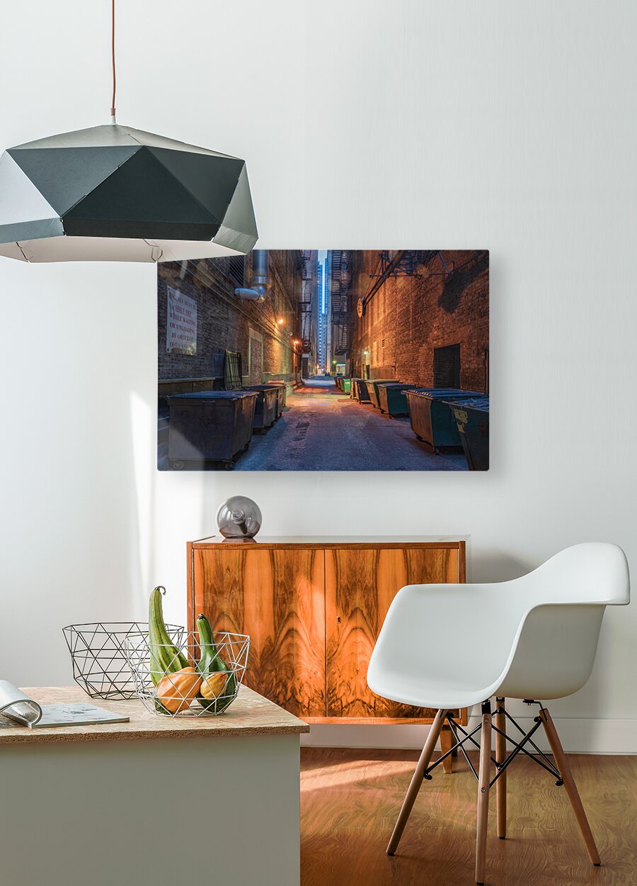 Chicago Back Alley  HD Metal print with Floating Frame on Back