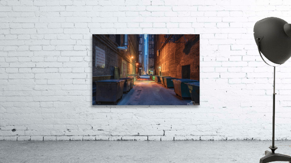 Chicago Back Alley by Dutch Photographer