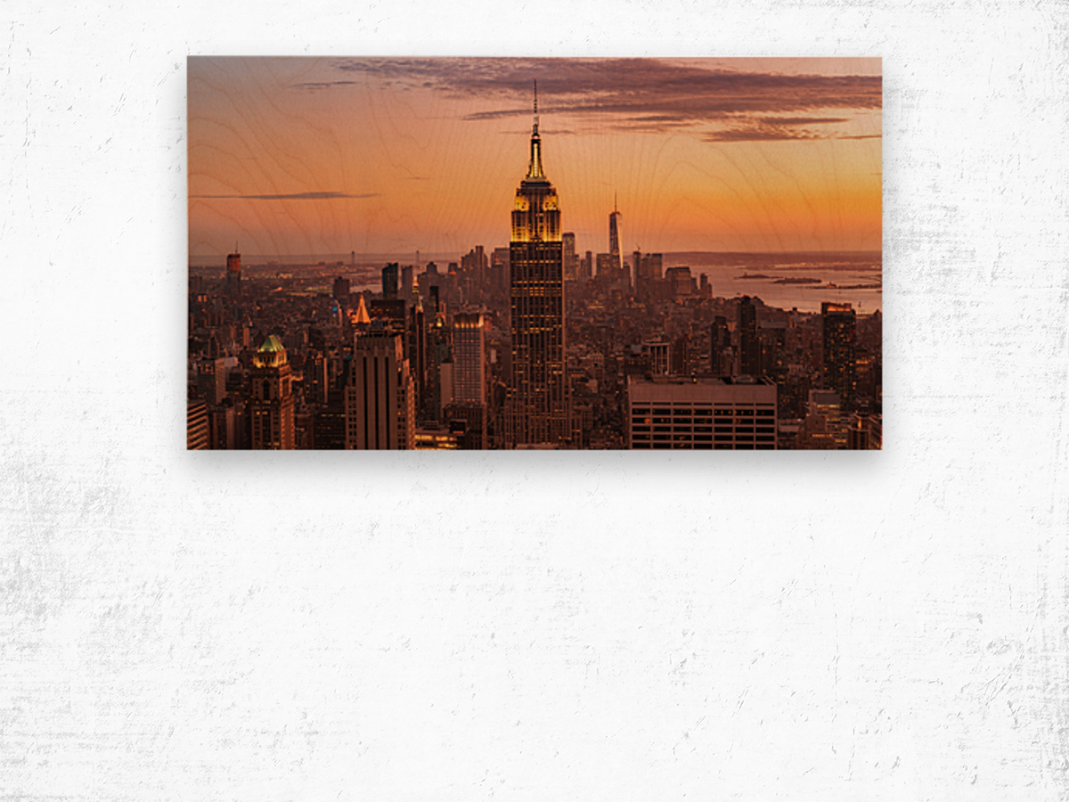 Manhattan From Above Wood print