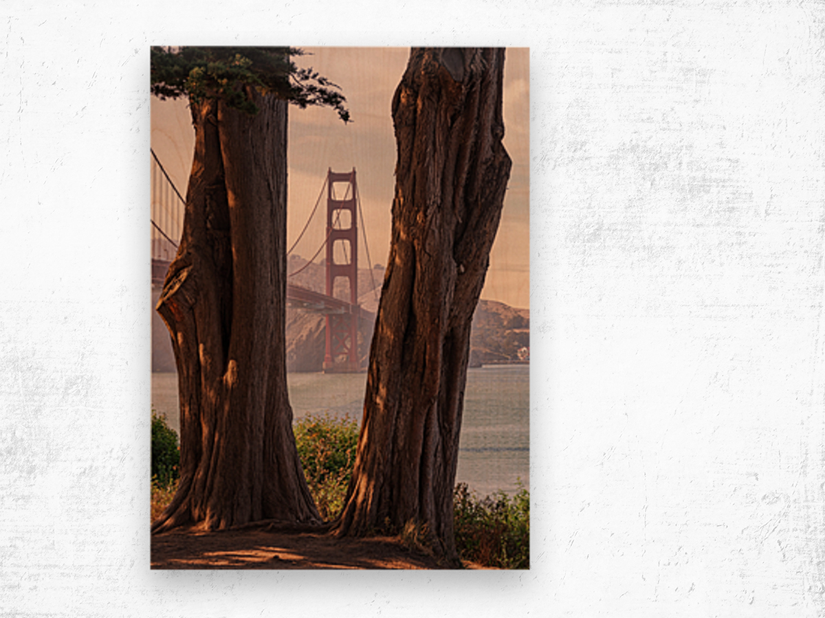 Golden Gate View Wood print