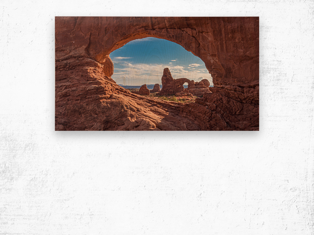 Arches National Park Wood print