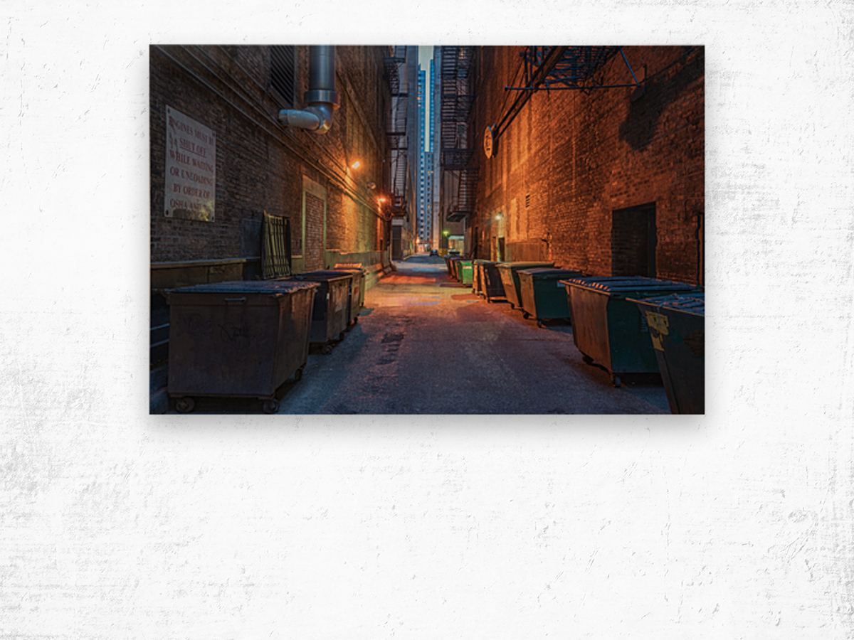 Chicago Back Alley Wood print