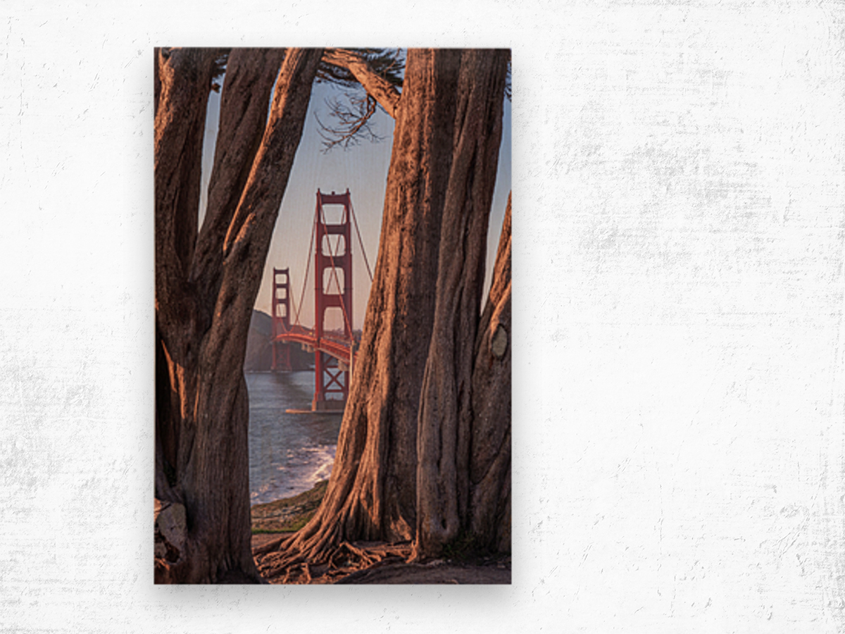 Golden Frame San Francisco Wood print